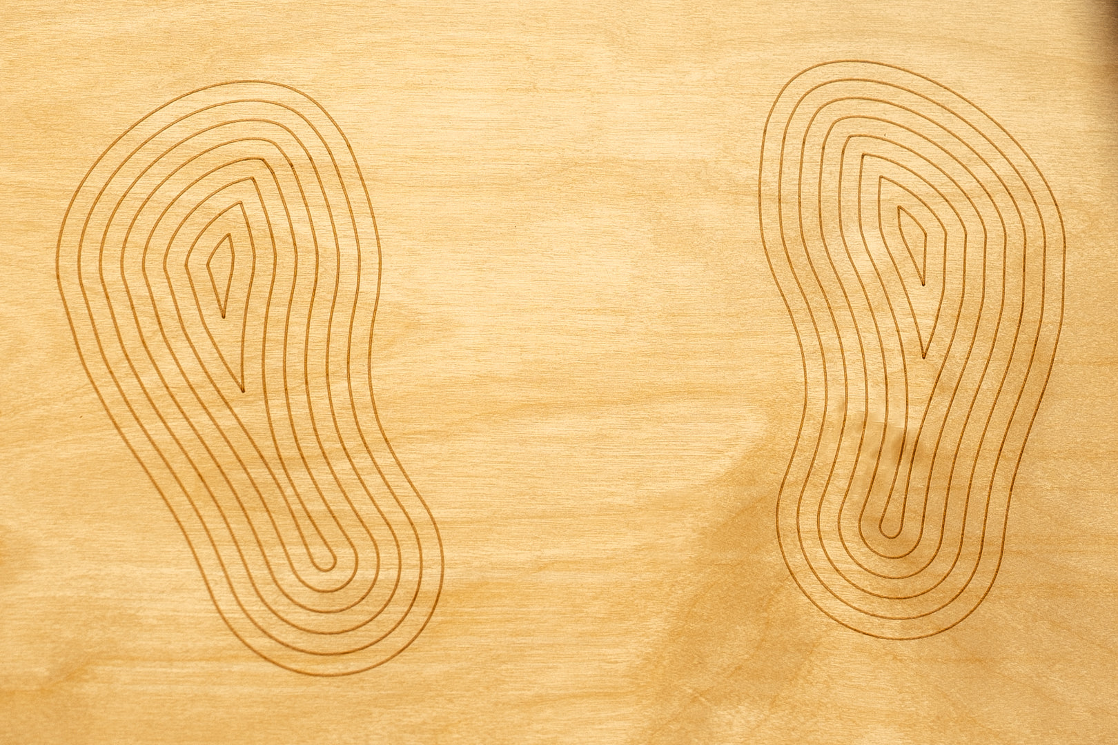 Viedā līdzsvara platforma SMART